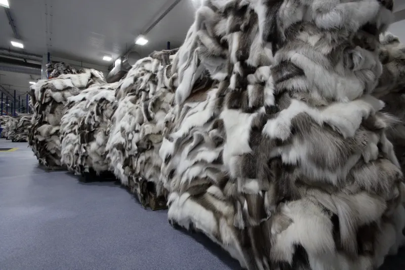 Stacks of finished reindeer hides