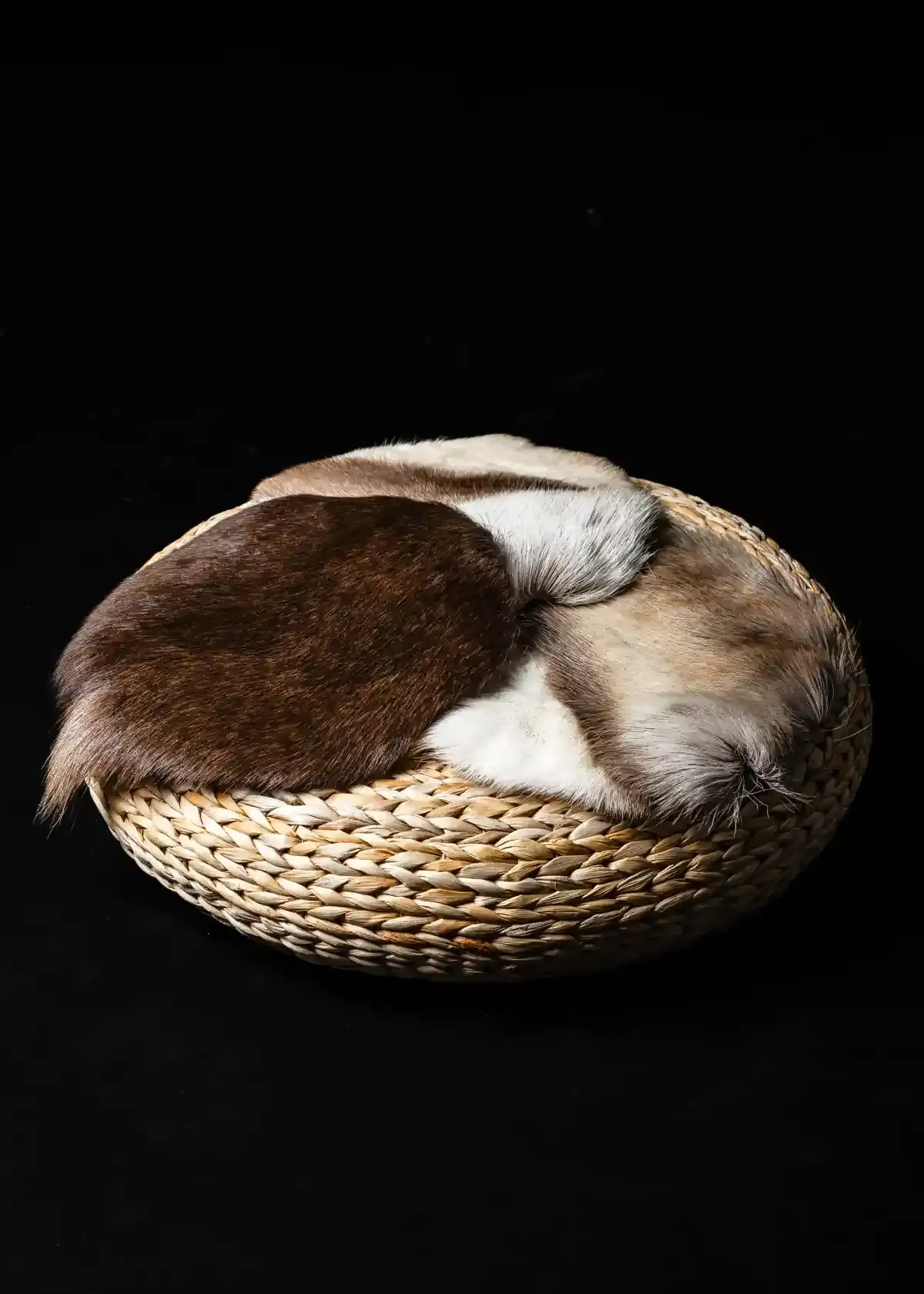 Premium Reindeer Hide Seat Covers thumbnail - 2